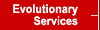 Evolutionary Services
